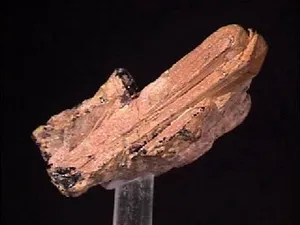 Ảnh minh họa. (Nguồn: Internet)