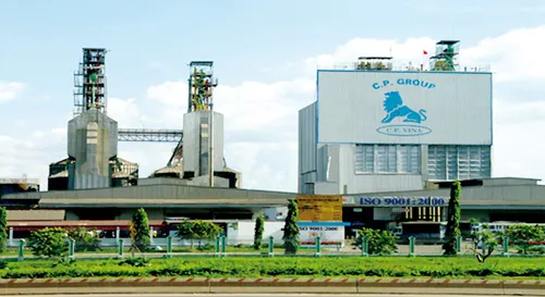 70% sản lượng thức ăn gia súc thuộc về các DN nước ngoài.