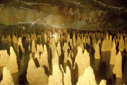 Thạch nhũ mọc từ dưới lên, trong hệ thống hang Phong Nha. Các nhà khoa học chưa giải thích được vì sao bãi thạch nhũ này có hình thù búp măng đều đặn như thế. Ảnh: Đoàn thám hiểm cung cấp. Thạch nhũ mọc từ dưới lên, trong hệ thống hang Phong Nha. Các nhà khoa học chưa giải thích được vì sao bãi thạch nhũ này có hình thù búp măng đều đặn như thế. Ảnh: Đoàn thám hiểm cung cấp.