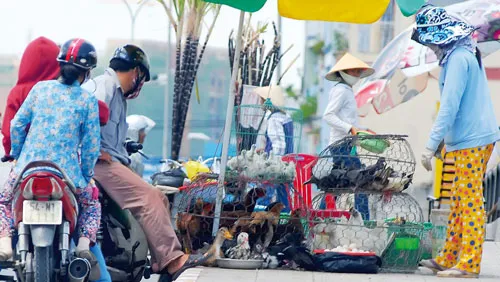 Buôn bán cơm trên vỉa hè sát nhà vệ sinh công cộng. Gia cầm sống bày bán trên đường phố tiềm ẩn nhiều nguy cơ dịch bệnh. Người bán cơm xe đẩy chế biến thịt nướng trên vỉa hè sát lòng đường đầy đất. Bún xào bỏ vào hộp xếp ngay trên vỉa hè. Rác dưới bàn một quán ăn đường phố. Khoai bày bán không được che đậy. Bày bán hàng rong sát bên 2 thùng rác. Heo quay bán treo bên đường không che đậy bụi bẩn, mất vệ sinh. Chỉ với 2 xô nước, người bán quán ăn đường phố có thể rửa hàng trăm bát, đĩa... ngay trên vỉa hè