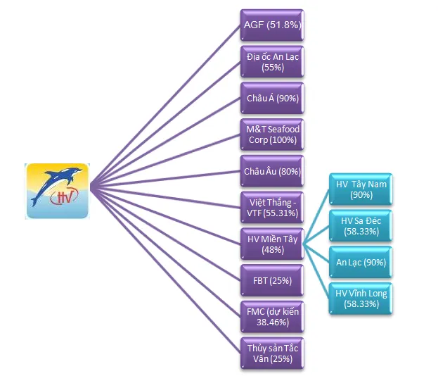Sơ đồ các công ty con và liên kết của HVG