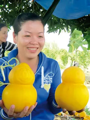 Quả càng to, ngón tay của phật thủ càng nhiều, dài, móng nhọn thì càng có giá trị. Anh Trần Thanh Liêm (phường Bình Thủy, quận Bình Thủy, TP Cần Thơ) tạo hình thành công 4 cặp dưa hấu hình xe hơi. Mỗi gốc cây ngũ quả được bán với giá 20-25 triệu đồng. Dưa hấu hình thỏi vàng. Bưởi hồ lô. Trái khóm phụng làm đẹp thêm cho những ngày xuân. Dưa hấu hình vuông. Dưa hấu hồ lô.