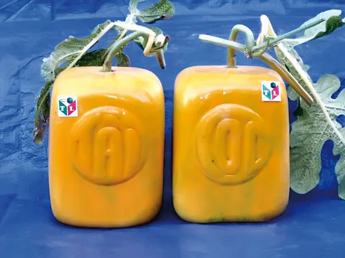 Quả càng to, ngón tay của phật thủ càng nhiều, dài, móng nhọn thì càng có giá trị. Anh Trần Thanh Liêm (phường Bình Thủy, quận Bình Thủy, TP Cần Thơ) tạo hình thành công 4 cặp dưa hấu hình xe hơi. Mỗi gốc cây ngũ quả được bán với giá 20-25 triệu đồng. Dưa hấu hình thỏi vàng. Bưởi hồ lô. Trái khóm phụng làm đẹp thêm cho những ngày xuân. Dưa hấu hình vuông. Dưa hấu hồ lô.