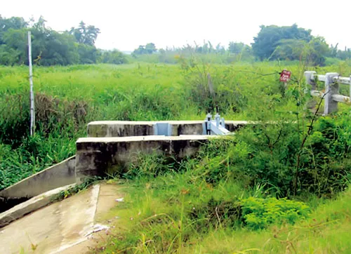 Các dự án chậm triển khai sẽ bị hủy trong quý I- 2013 để xóa bỏ tình trạng tràn lan dự án "treo" trên địa bàn TPHCM. Ảnh: H.C Các dự án chậm triển khai sẽ bị hủy trong quý I- 2013 để xóa bỏ tình trạng tràn lan dự án "treo" trên địa bàn TPHCM. Ảnh: H.C