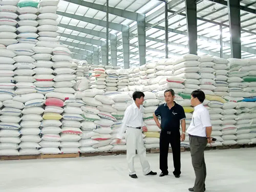 Xuất khẩu gạo năm 2013 dự báo đạt 7,5-8 triệu tấn. Ảnh: H.LỢI