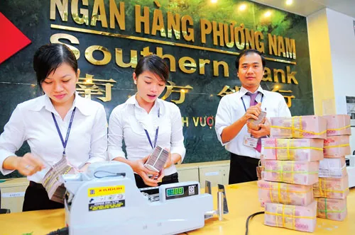 Ảnh: VIỆT DŨNG Ảnh: VIỆT DŨNG