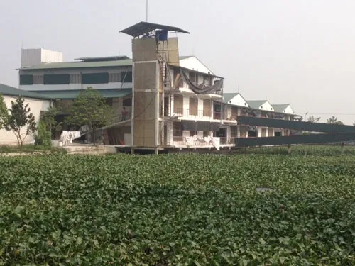 “Chung cư” dành cho lợn tại xã Tân Ước.