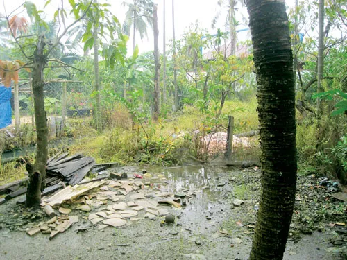 Khu đất nhà ông Võ Văn Tài bị ngập nước do ảnh hưởng nhà máy Tân Hiệp Phát. Khu đất nhà ông Võ Văn Tài bị ngập nước do ảnh hưởng nhà máy Tân Hiệp Phát.