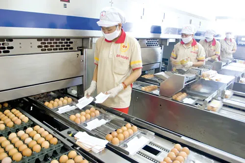 Dây chuyền sản xuất trứng sạch Ba Huân. Ảnh: LÃ ANH Dây chuyền sản xuất trứng sạch Ba Huân. Ảnh: LÃ ANH