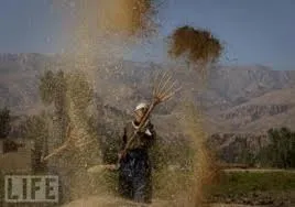 Nguồn: Internet Nguồn: Internet