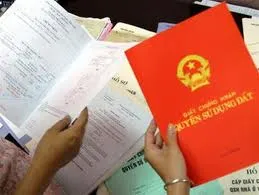 Ảnh minh họa. Nguồn: Internet Ảnh minh họa. Nguồn: Internet