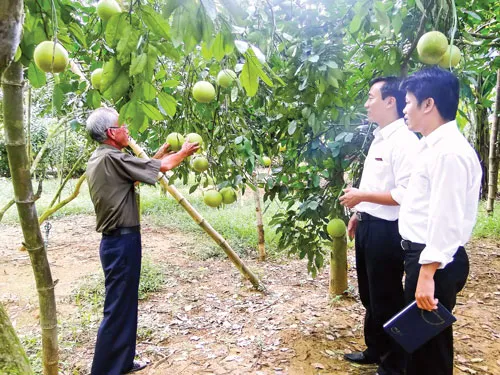 Agribank cung ứng đủ vốn đầu tư giúp nông dân có vốn sản xuất kinh doanh. Agribank cung ứng đủ vốn đầu tư giúp nông dân có vốn sản xuất kinh doanh.