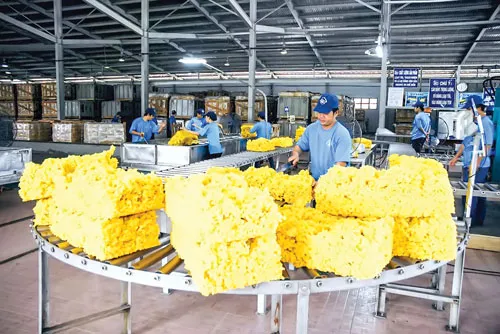 Sản phẩm cao su được chế biến đa dạng hơn theo nhu cầu thị trường.