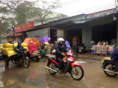 Trăn trở La Phù ảnh 1 Trăn trở La Phù ảnh 1