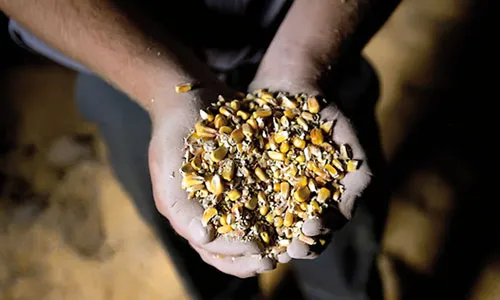 Hạn hán tồi tệ nhất trong 50 năm qua ở Hoa Kỳ đe dọa dẫn tới một cuộc khủng hoảng lương thực mới trên thế giới. Hạn hán tồi tệ nhất trong 50 năm qua ở Hoa Kỳ đe dọa dẫn tới một cuộc khủng hoảng lương thực mới trên thế giới.