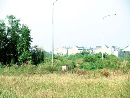 Khu đất dự án phân lô hộ lẻ tại quận 9 bây giờ trở thành bãi đất hoang hóa. Khu đất dự án phân lô hộ lẻ tại quận 9 bây giờ trở thành bãi đất hoang hóa.