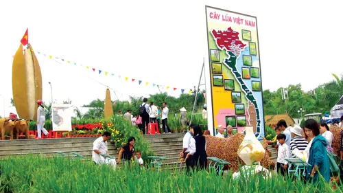 Khu triển lãm “Cây lúa Việt Nam” hấp dẫn khách tham quan. Ảnh: T.N.