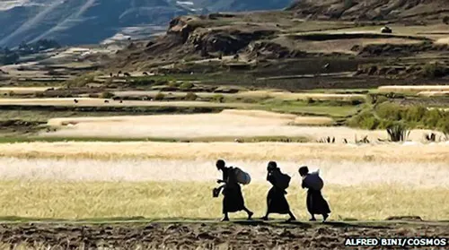 Hàng triệu người châu Phi thiếu đói nhưng đất nông nghiệp lại bị bán cho người nước ngoài và họ bị đuổi ra khỏi đất của tổ tiên để lại.