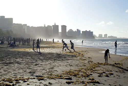 Puerto Rico đang nỗ lực để trở thành một thiên đường né thuế mới. Puerto Rico đang nỗ lực để trở thành một thiên đường né thuế mới.