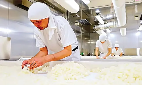 Bên trong một cơ sở sản xuất rượu sake. Bên trong một cơ sở sản xuất rượu sake.