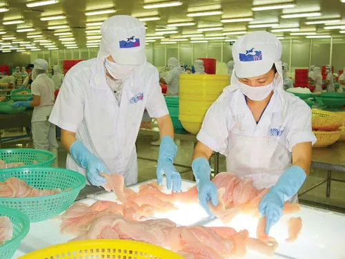 Chế biến cá ba sa xuất khẩu tại CTCP Hùng Vương.