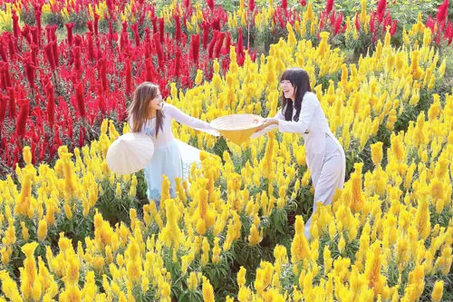 Tuổi xuân. Tuổi xuân.