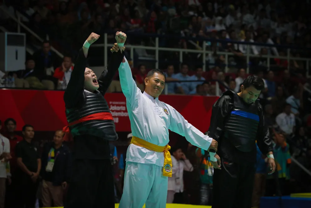 Ấn tượng Thể thao Việt Nam năm 2018 ảnh 3