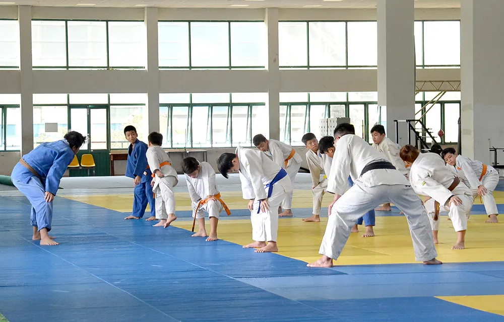 Quên đi đại dịch cúm, các tuyển thủ nỗ lực luyện tập chờ vòng loại Olympic ảnh 1