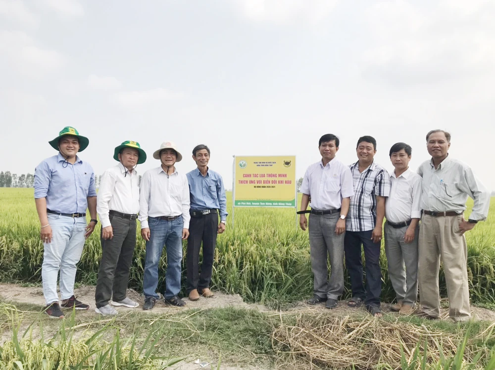 Mô hình "Canh tác lúa thông minh" được triển khai tại 13 tỉnh của ĐBSCL.