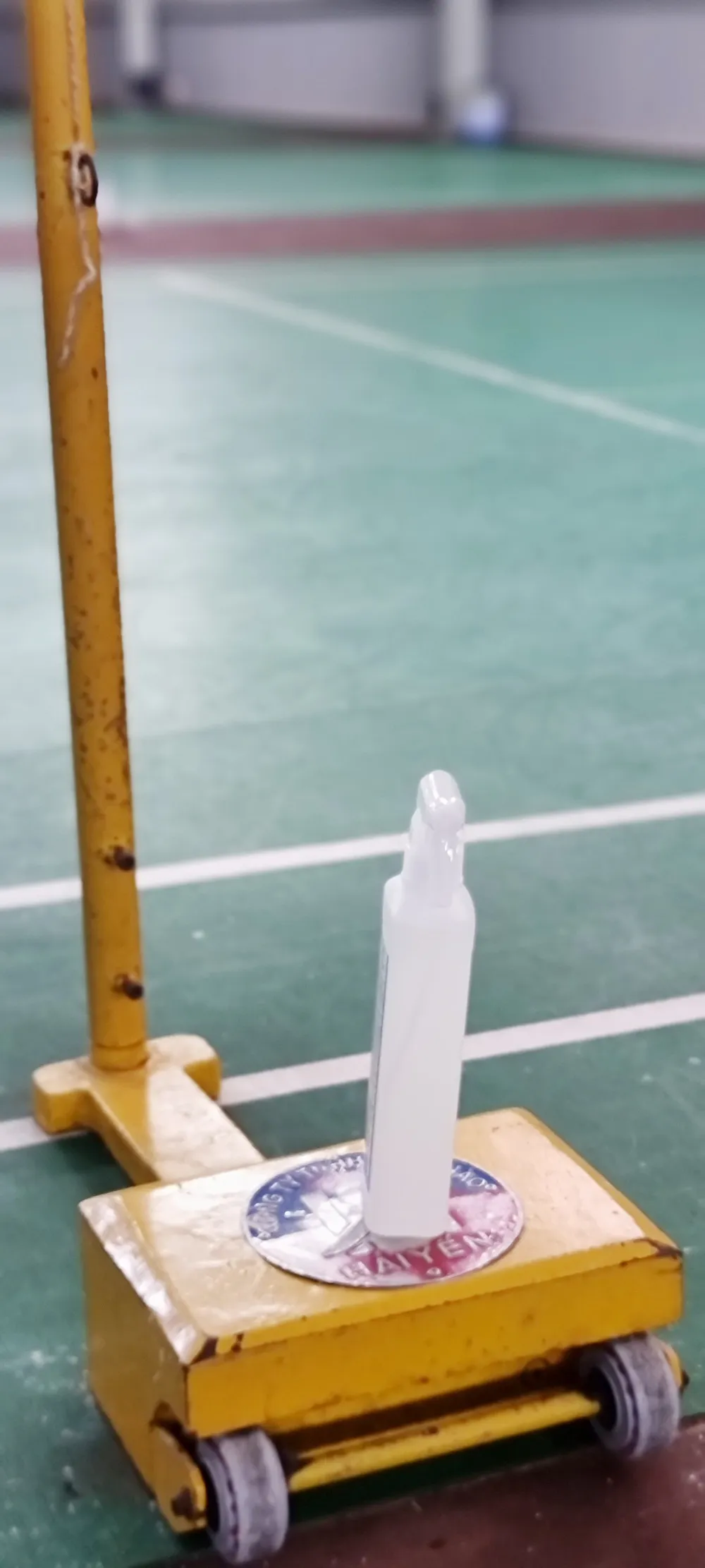 Thầy trò cầu lông TPHCM chủ động tập luyện ảnh 3