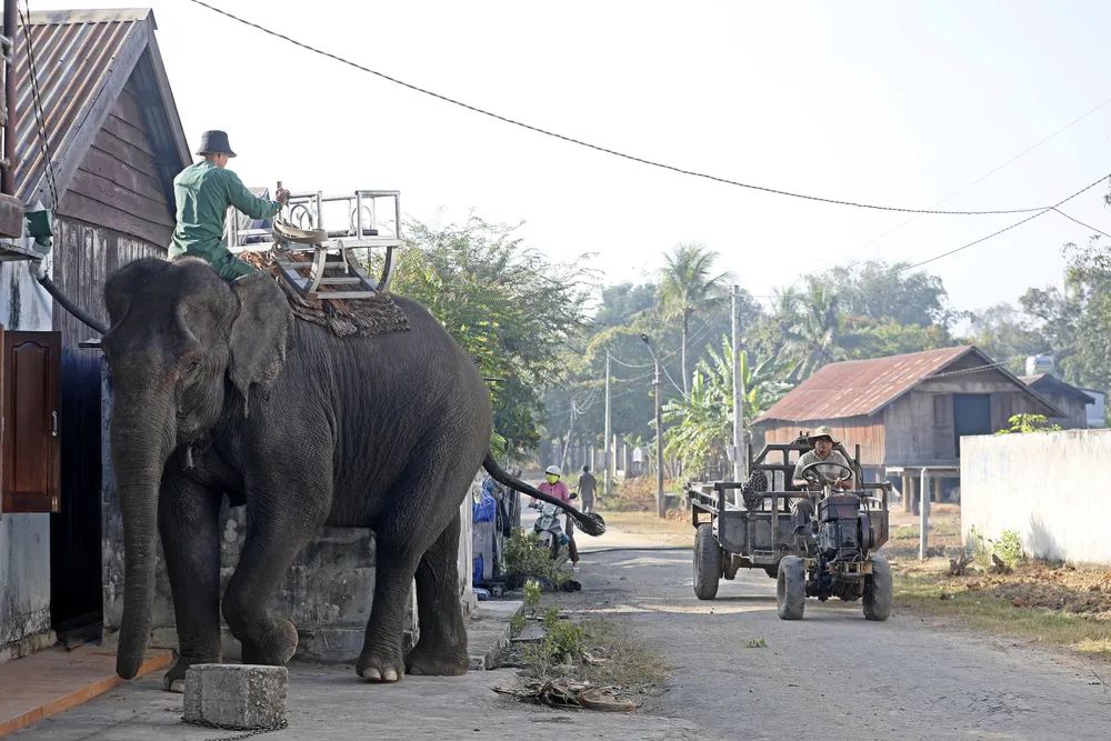 Đắk Lắk đi đầu trong mô hình du lịch thân thiện góp phần bảo tồn voi ảnh 3