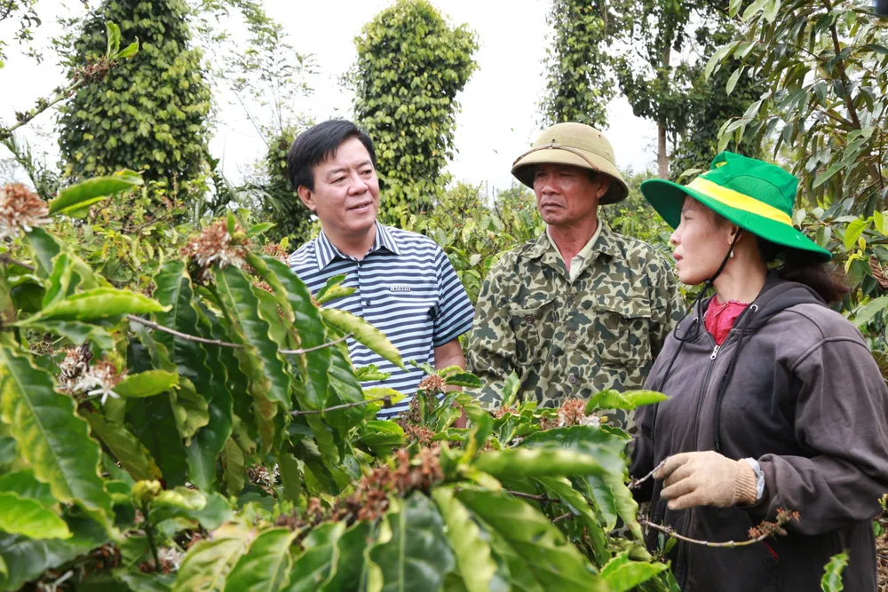 Ông Ngô Văn Đông - Tổng Giám đốc Công ty CP Phân bón Bình Điền (bìa trái) trao đổi với nông dân tham gia mô hình Canh tác cà phê thông minh thích ứng với biến đổi khí hậu tại Tây Nguyên. Hinh 7.jpg