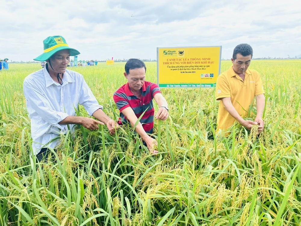 Bình Điền cung cấp cho nông dân các dòng sản phẩm xanh, ứng dụng công nghệ sinh học, đưa các chủng vi sinh vật có lợi phù hợp với từng vùng sinh thái, cây trồng vào sản phẩm NPK giúp cải tạo đất và giảm phát thải CH₄. Hinh 8.jpg