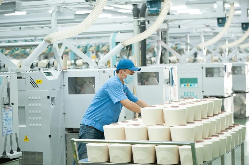 Doanh nghiệp TPHCM kêu gọi 5.000 chữ ký kiến nghị Chính phủ giải cứu ảnh 1 Doanh nghiệp TPHCM kêu gọi 5.000 chữ ký kiến nghị Chính phủ giải cứu ảnh 1