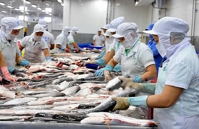 Tạm dừng xuất khẩu cá tra đi Nga