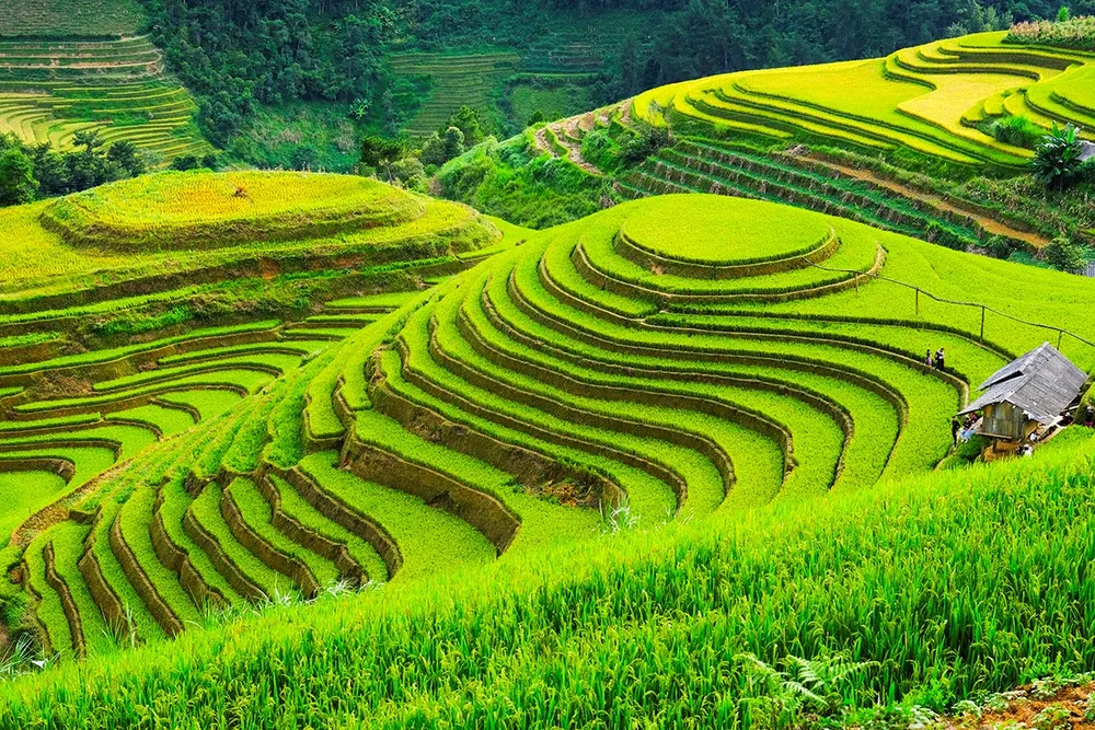 Ra mắt chuyên trang quảng bá du lịch nông thôn