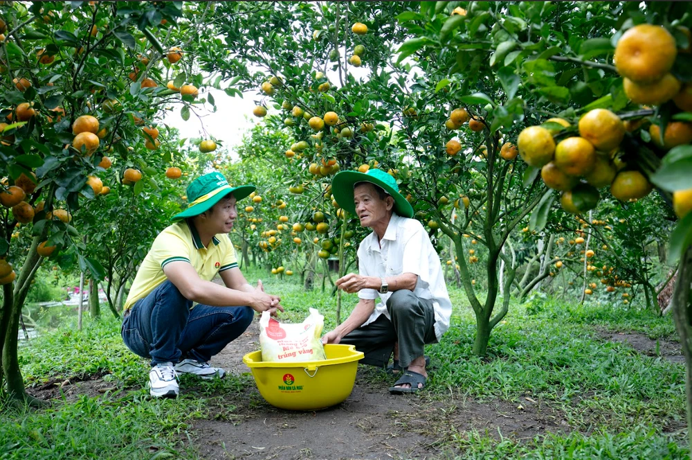 Phân bón Cà Mau hỗ trợ nông dân sau bão số 3