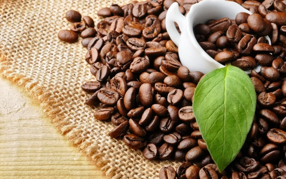 Dân châu Âu chi 2 tỷ USD một năm cho cà phê Việt