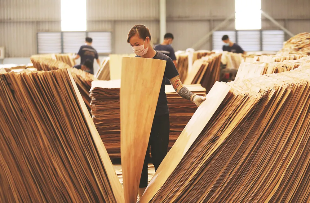 Gia hạn điều tra CBPG ván sợi gỗ Thái Lan, Trung Quốc 
