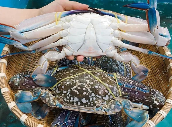 Mỹ tạm hoãn lệnh cấm nhập khẩu ghẹ Việt Nam 