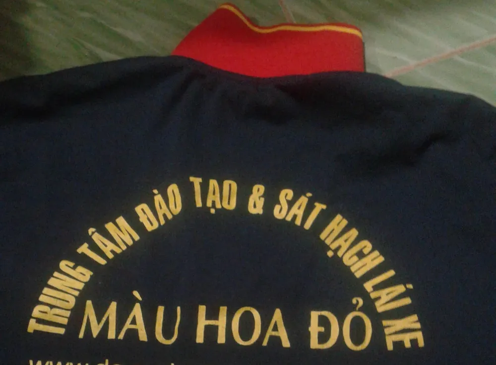 Cà Mau: Cả dân và lãnh đạo bị “trái đắng” khi học lái xe ô tô ảnh 1 Cà Mau: Cả dân và lãnh đạo bị “trái đắng” khi học lái xe ô tô ảnh 1