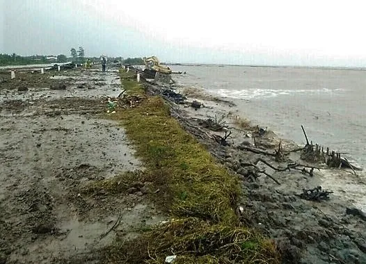 Cà Mau triều cường dâng cao bất thường đe dọa đê biển Tây ảnh 2