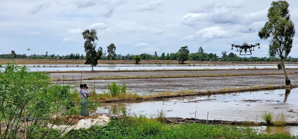 កសិករនៅភូមិ Lang Sen ឃុំ Vinh Dai ស្រុក Tan Hung ខេត្ត Long An បានសាបព្រោះគ្រាប់ស្រូវបណ្តែត។ 4 may bay gieo sa lua mua noi.jpg