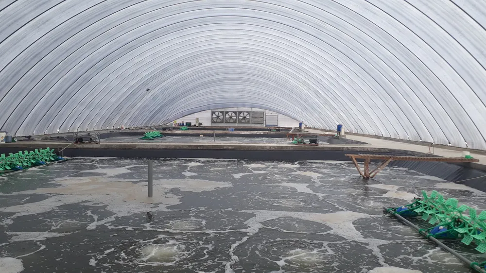 Mo hinh nuoi tom tap doan viec uc.jpg