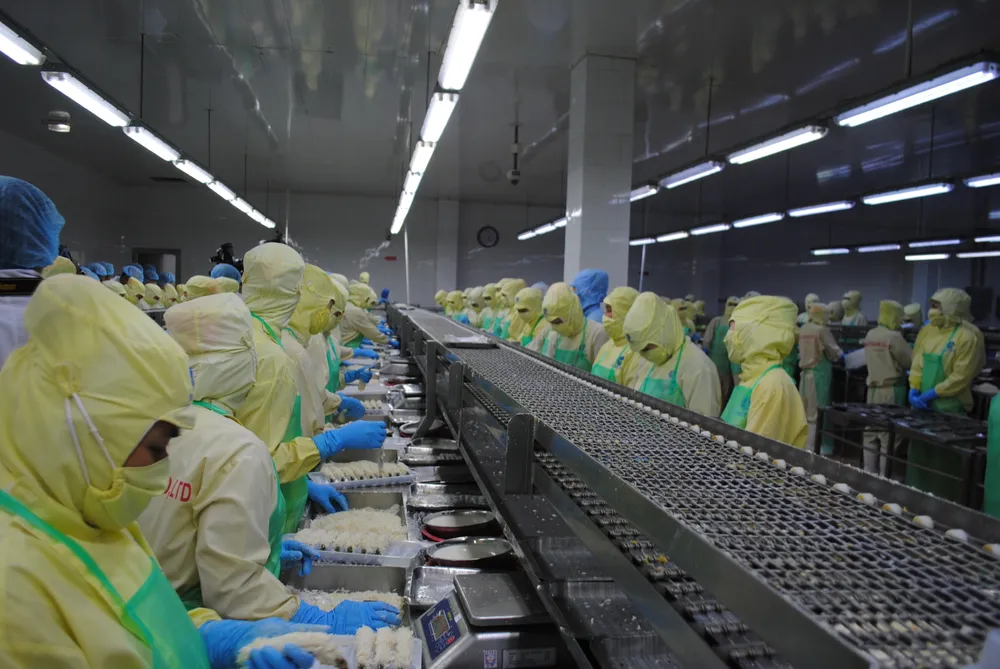 Che bien tom xuat khau tai ca mau 2.jpg