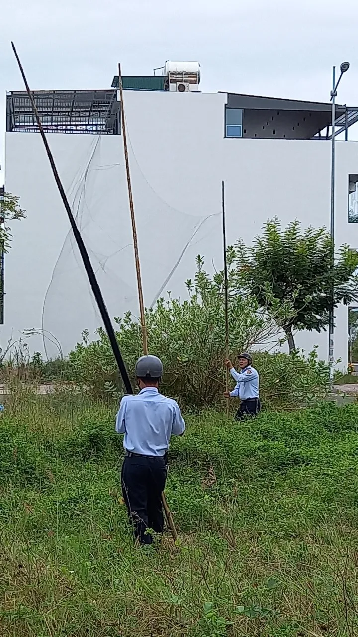 Thu hồi lưới săn bắt chim yến tại Phường Phước Hải