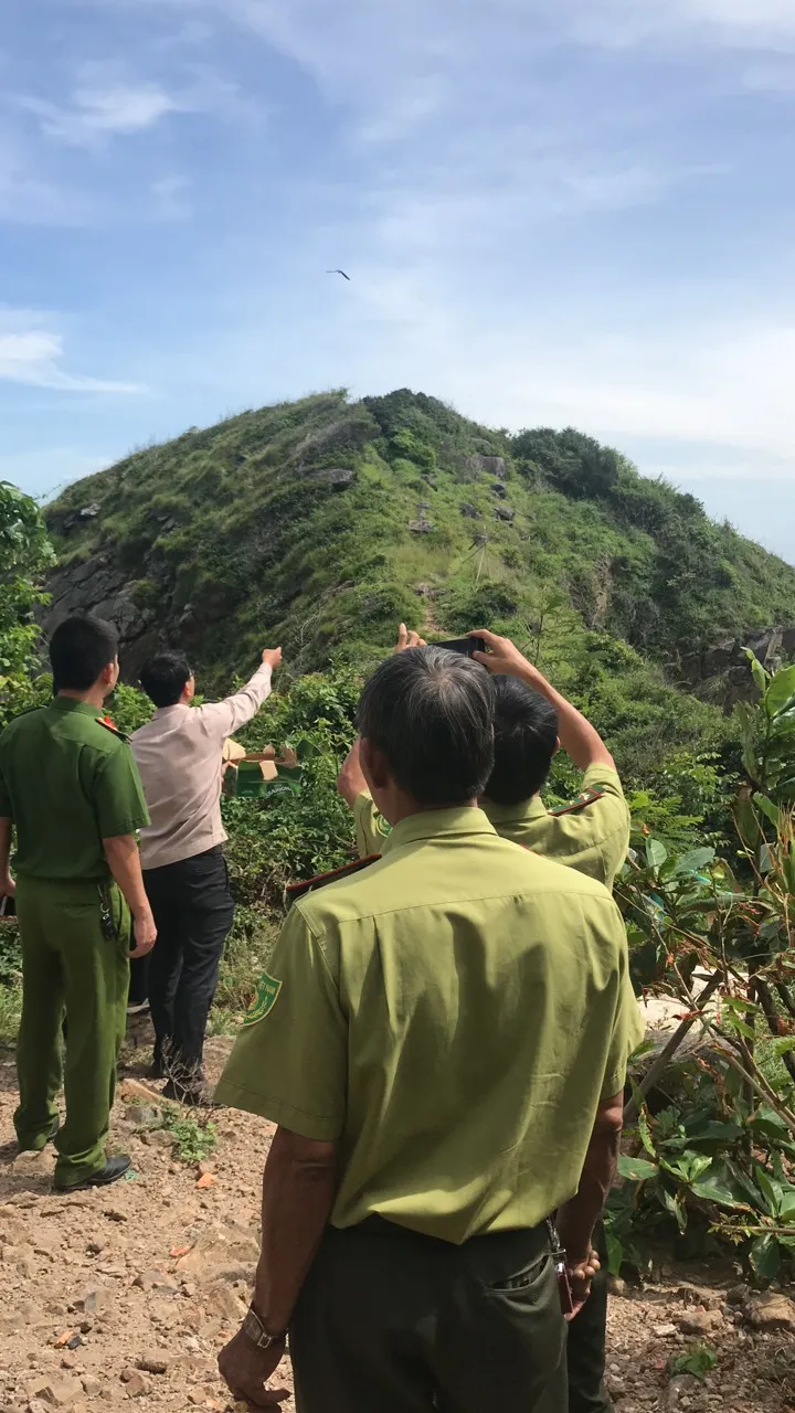 Phối hợp với cơ quan chức năng giải cứu và thả chim yến về với thiên nhiên