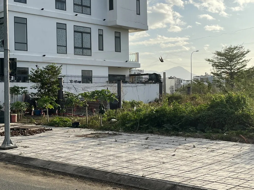 Hình ảnh chim yến bị sa vào lưới tàng hình