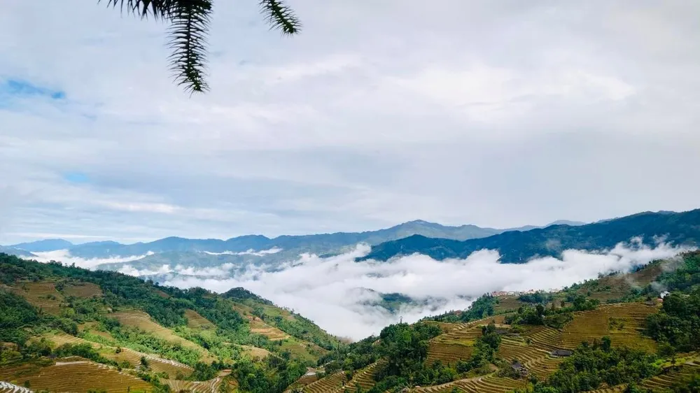 Tả Sử Choóng bồng bềnh trong sương sớm nhìn từ homestay Riz d”Or Retreat