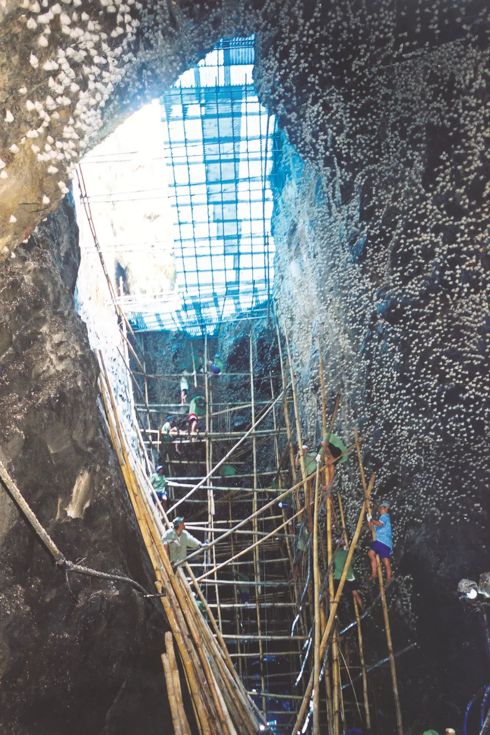 Khai thác Yến sào đảo thiên nhiên tại Khánh Hòa Khai thác Yến sào đảo thiên nhiên tại Khánh Hòa